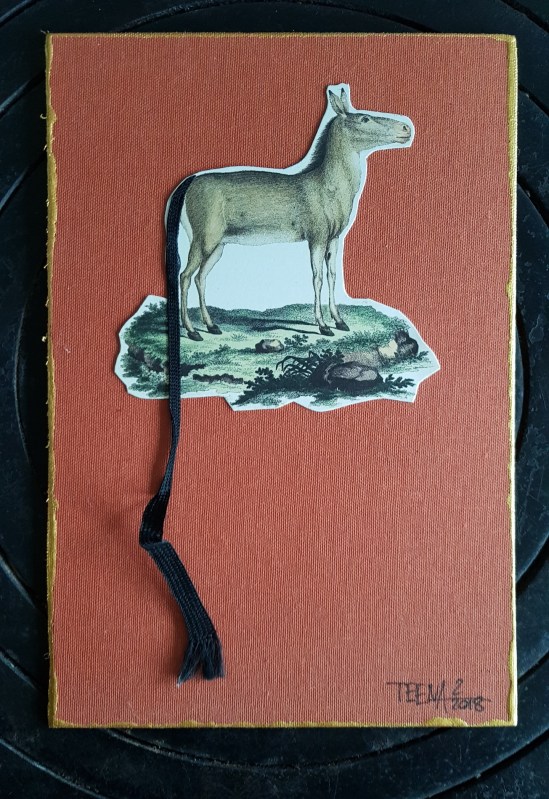 Teena Leitow, Kunst, Kunstaktion, twitter #TeamLesebändchen